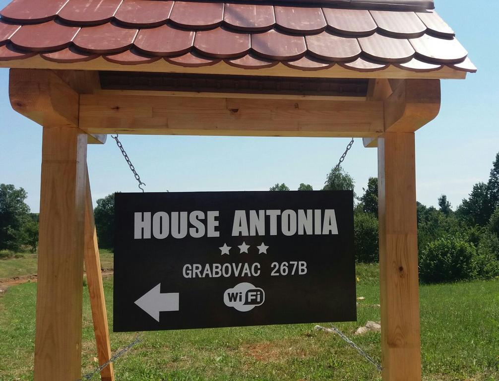 House Antonia Hotel Grabovac  Exterior photo